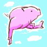 とんぶた