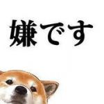 ブイハチ