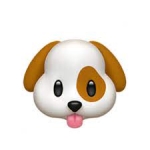 ぱぐらんど