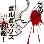 あみたそ