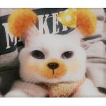 userPhoto