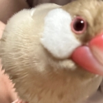 ゐき∃