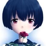 とらつぐみ