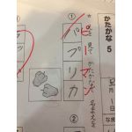 海苔