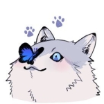 めこ
