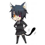 ねここ