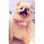 ユーザー画像