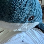 てるたつ