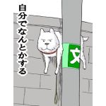 半蔵★
