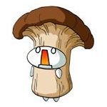 きのこ