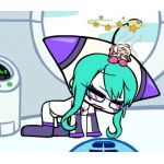 ゲスト
