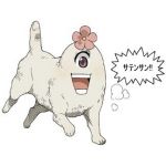 てあーも