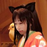 子猫