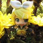 浜屋良和（はまやらわ）