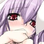 ブラインド