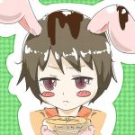 はっぱたん