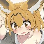 はづきガレット