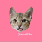 userPhoto
