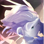 Elycera