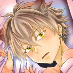 青姫ＭＲ