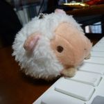かぶら