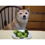 もちを