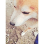userPhoto