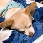 ユーザー画像
