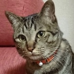 ユーザー画像