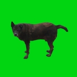 そわそわ
