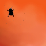 kokoroium