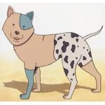 るしるし