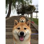 userPhoto