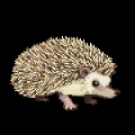 しんく