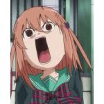 たぬき