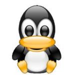 はつみん