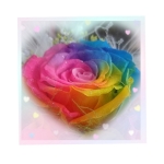 userPhoto