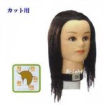 橋子