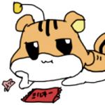 山栗鼠