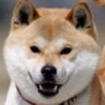 熟かに