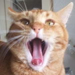 NAMU