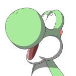 毛玉