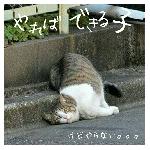 userPhoto