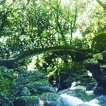 userPhoto