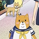 しばいぬ子さんと全裸で交尾したい