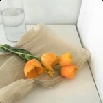 userPhoto