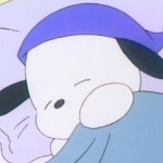 userPhoto