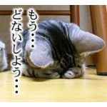 ジュピター♂