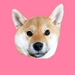 ぶちぽちゃん