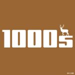 1000s（せんしき）